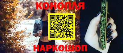 винт Новозыбков