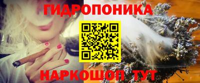 молекула духа Новокубанск