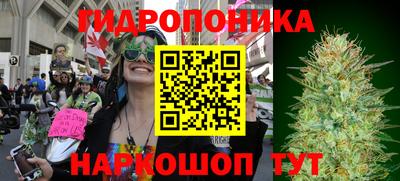 винт Новозыбков