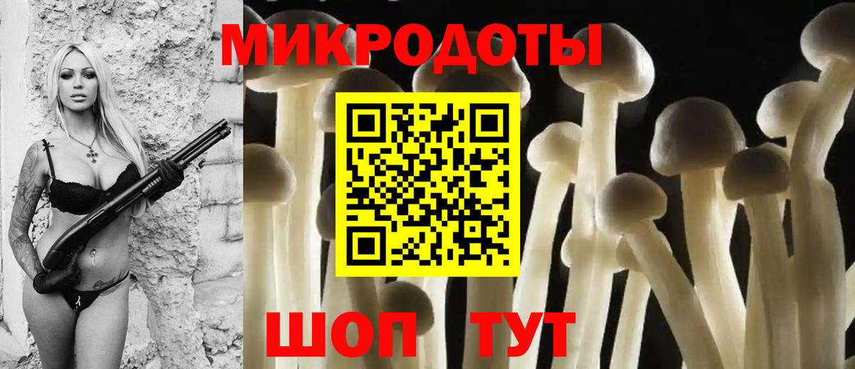 Пугачёв  Галлюциногенные грибы Psilocybine cubensis  Вход с VPN  Псилоцибиновые грибы Psilocybe 