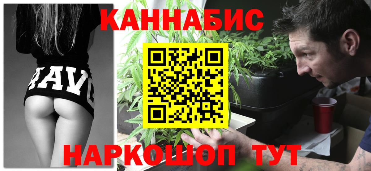 Шишки марихуана планчик Пугачёв